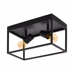 Eglo Silentina 2-Buld Flush Ceiling Light, Industrial Design Living Room, Kitchen and Hallway Ceiling Spotlight, Black Steel  ...