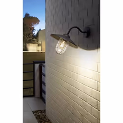 Eglo Melgoa Outdoor Wall Light, Black Galvanized Steel and Clear Glass Lantern, Porch Lamp, E27 Socket, IP44