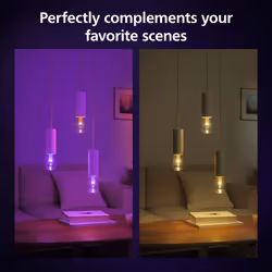Philips Hue Lightguide ST70 Edison Smart Bulb, White and Color Light, Bluetooth Compatible, Voice Control with Alexa, Apple Home & Google Assistant