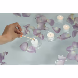 Horeca Candles - Tea Light Candles in Clear Cup 200 Pack - 8 Hours Burn Time - White Wax - Smokeless, Dripless, Unscented Candles Bulk