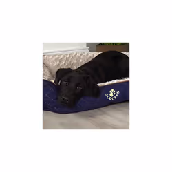 Scruffs Wilton Box Bed (L) Blue