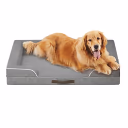 Codi Extra Large Memory Foam Layer Dog Bed, Washable Orthopedic Dog Bed Couch with Removable Zipper Cover, Waterproof Dog Bed ...
