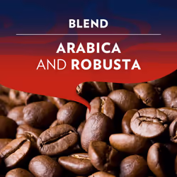 Lavazza Crema e Gusto Classico Ground Coffee for Moka Pot or Filtered Coffee Spicy Aromatic Notes Arabica and Robusta,Dark Roast 8 Packs of 250g