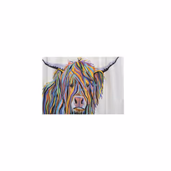 RAVALI Croydex Art by Steven Brown Shower Curtain With Anti-Microbial Treated 180x180cm (Angus McCoo)