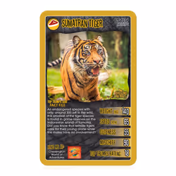 Top Trumps Awesome Animals Classics Card Game, Find out how cute the Snow Leopard is and how big is the Black Rhino, Educational card game for 2 plus