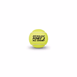 DUNLOP Tennis Ball Fort All Court TS - for Clay, Hard Court and Grass (2x4 Tin Cartonette)