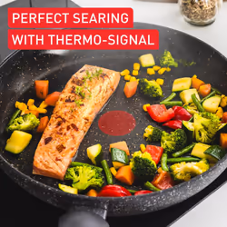 Tefal Titanium Stone Frying Pan 24 cm, High-Performance Non-Stick Coating, Metal Spatula Safe, All Hobs Including Induction, E1050445