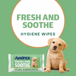 Andrex Fresh and Soothe Hygiene Wipes, 12 Packs - Flushable Toilet Wipes - Skin Kind - Contains Aloe Vera and Prebiotic Lotion- Biodegradable and