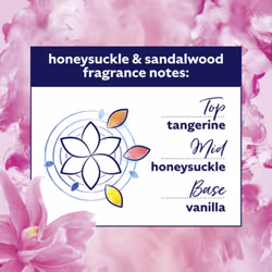 Comfort Creations Honeysuckle & Sandalwood Fabric Conditioner with Stay Fresh technology for 100 days of freshness + fragrance* 6x 1.44 L (288 washes)