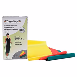 THERABAND Resistance Bands Set, Professional Latex-Free Elastic Band For Upper & Lower Body Exercise, Strength Training, Ther ...