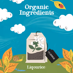 Clipper Organic Liquorice Tea Bags | 120 Infusion Liquorice Root Teabag Sachets (6 x Boxes of 20) | Bulk Buy for Home & Catering | Caffeine-Free