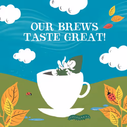 Clipper Organic Liquorice Tea Bags | 120 Infusion Liquorice Root Teabag Sachets (6 x Boxes of 20) | Bulk Buy for Home & Catering | Caffeine-Free