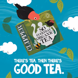 Clipper Organic Everyday Teabags, Black Tea Bags, Natural, Unbleached, Plant-Based Biodegradable & Sustainable Teabags, Eco Conscious & Non GM Tea
