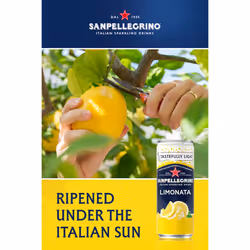 San Pellegrino Italian Sparkling Drinks Tastefully Light Sparkling Lemon Canned Soft Drink 24 x 330ml - 73k Cals per Can