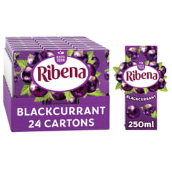 Ribena Blackcurrant Juice Drink Cartons - Multipack 24x250ml | Real Fruit | Rich In Vitamin C | No Artificial Colours or flavours | Perfect For On The