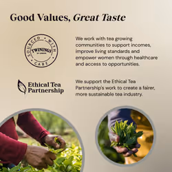 Twinings Assam Tea | Strong, Bold & Malty Black Tea | Refreshing & invigorating Indian Tea Blend | Multipack Bulk Buy, 320 (4 x 80) Biodegradable Tea