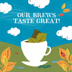 Clipper Organic Nettle Tea Bags | 120 Stinging Nettle Infusion Teabag Sachets (6x Boxes of 20) | Bulk Buy, Home & Catering | Caffeine-Free Herbal Tea