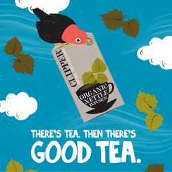 Clipper Organic Nettle Tea Bags | 120 Stinging Nettle Infusion Teabag Sachets (6x Boxes of 20) | Bulk Buy, Home & Catering | Caffeine-Free Herbal Tea