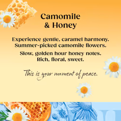Twinings Camomile and Honey FlavouredTea - 80 Biodegradable Tea Bags (Multipack of 4 x 20 Bags), Soothing Herbal Blend, Caffeine-Free, Naturally