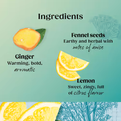 Twinings Superblends Detox - Lemon, Ginger & Burdock Root Herbal Tea Infusion with Fennel & Selenium, 80 x Biodegradable Tea Bags
