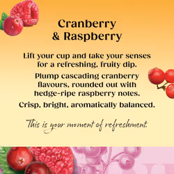 Twinings Raspberry & Cranberry Fruit Infusion Flavoured Tea - 80 Biodegradable Bags (Multipack of 4 x 20) , Caffeine & Sugar Free Herbal Vegan Tea