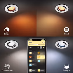 Philips Hue Ceiling Light, White, 1 Count (Pack of 1)