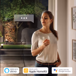 Philips Hue Turaco White LED Smart Outdoor Wall Light, Works with Alexa, Google Assistant and Apple HomeKit