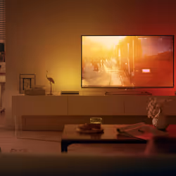 Philips Hue Play White and Colour Ambiance Smart Light Bar Extension, Entertainment Lighting for TV and Gaming (Works with Alexa, Google Assistant and