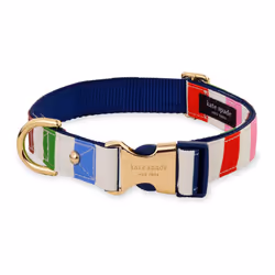 Kate Spade New York Cute Dog Collar, Gold Metal Buckle Dog Collar, 15.5" to 24" Adjustable Dog Collar for Female or Male Dogs ...