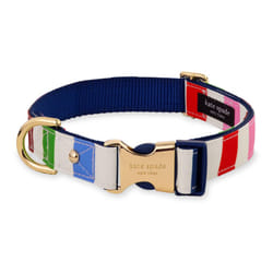 Kate Spade New York Cute Dog Collar, Gold Metal Buckle Dog Collar, 15.5" to 24" Adjustable Dog Collar for Female or Male Dogs, Stylish Dog Collar for