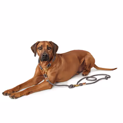 HUNTER Adjustable leash Sansibar Rantum, 12/200 Rope, grey