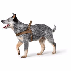 HUNTER Norwegian harness for Dogs Hunting, 55 x 71-97 cm, Brown