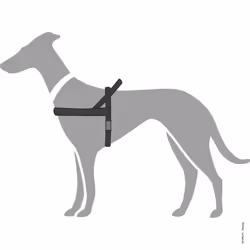 Hunter Norwegian harness for Dogs Hunting, 60 x 77-110 cm, Black