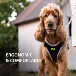 Ferplast Medium Size Dog Harness ERGOCOMFORT MEDIUM, Adjustable Dog Harness, Comfortable, Padded, Double Micro-adjustment Closure, Quick Release,