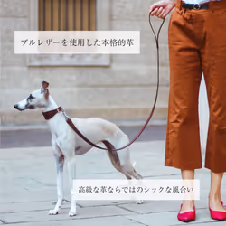 Ferplast VIP G20/150 Dog Lead, 20 mm/ 150 cm, Brown