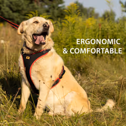 Ferplast Small Size Dog Harness ERGOCOMFORT EXTRA SMALL, Adjustable Dog Harness, Comfortable, Padded, Double Micro-adjustment Closure, Quick Release,