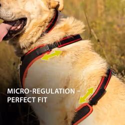 Ferplast Small Size Dog Harness ERGOCOMFORT EXTRA SMALL, Adjustable Dog Harness, Comfortable, Padded, Double Micro-adjustment Closure, Quick Release,