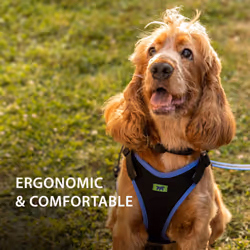 Ferplast Small Size Dog Harness ERGOCOMFORT SMALL, Adjustable Dog Harness, Comfortable, Padded, Double Micro-adjustment Closure, Quick Release, Blue