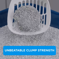 Ever Clean Lavender Clumping Cat Litter 20L