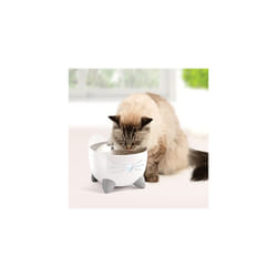 Catit PIXI Smart Water Fountain,White
