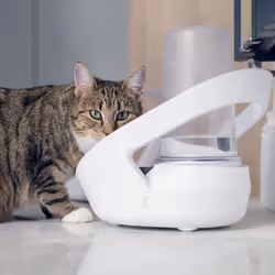 Sure Petcare Felaqua Connect, Cat Water Bowl, Monitor Cat Drinking, RFID Collar Tags and Microchips Compatible, Mobile App Connected, Battery