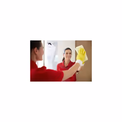 Vileda Professional Premium Microfibre Cleaning Cloths, PURmicro Active, Bathroom Glass Cloths, Streak-Free Multipurpose Cloths, Chemical-Free Power,