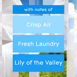 Glade Plug in Air Freshener Refill, Electric Scented Oil Room Air Freshener, Clean Linen, Pack of 6 (6 x 20ml)