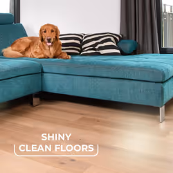 Vileda Pet Pro Always Clean Broom - Rubber broom perfect for removing pet hair, Attracts and collects dirt and pet hair, Safe and effective for all