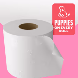 Andrex Family Soft Toilet Tissue 45 Rolls (Previously Andrex Gentle Clean) Gentle on your Family?s skin? Bulk Pack of 45 Toilet Rolls, FSC Certified
