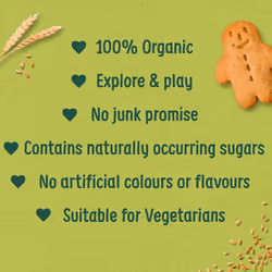 Organix Gingerbread Biscuits, Organic Toddler Snack, 12+ Months, 135 g Box (Pack of 6)
