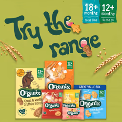 Organix Gingerbread Biscuits, Organic Toddler Snack, 12+ Months, 135 g Box (Pack of 6)