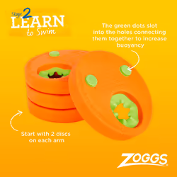 Zoggs Float Discs Armbands, Confidence Building Safe Zoggs Swimming armbands Starter For Children, Ideal For Kids, 2-6 years, Orange/green