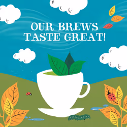 Clipper Organic Pure Green Tea Bags | 120 Teabags (6 x Boxes of 20) | Bulk Buy for Office, Home & Catering | Eco-Conscious, Fair Trade Tea | Natural