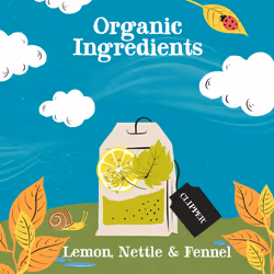 Clipper Organic Citrus, Nettle & Fennel Tea | 80 Cleanse with Benefits Infusion Teabags (4x Boxes of 20) | Bulk Buy, Home & Catering | Caffeine-Free